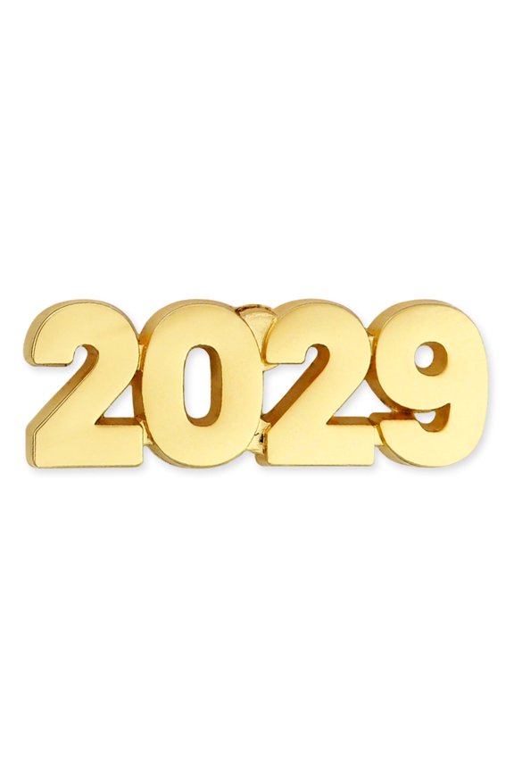 's 2029 Year Lapel Pin - 5 Pack