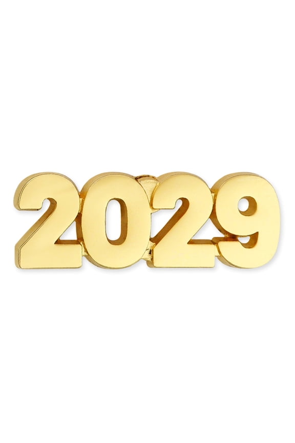 's 2029 Year Lapel Pin