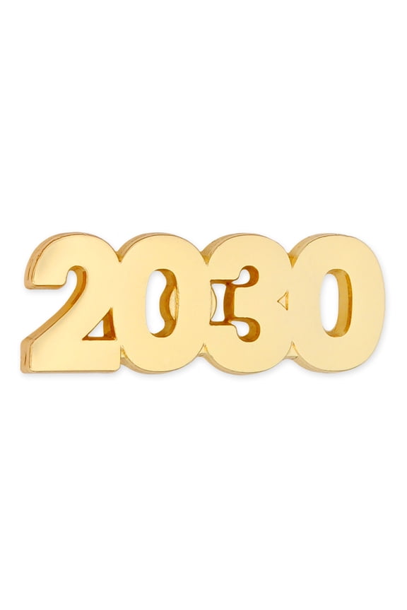 's 2030 Year Lapel Pin - 5 Pack