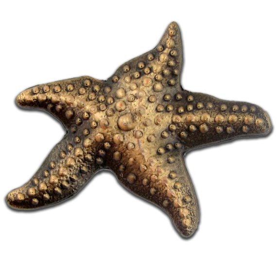PinMart's Antique Bronze 3D Starfish Ocean Animal Lapel Pin