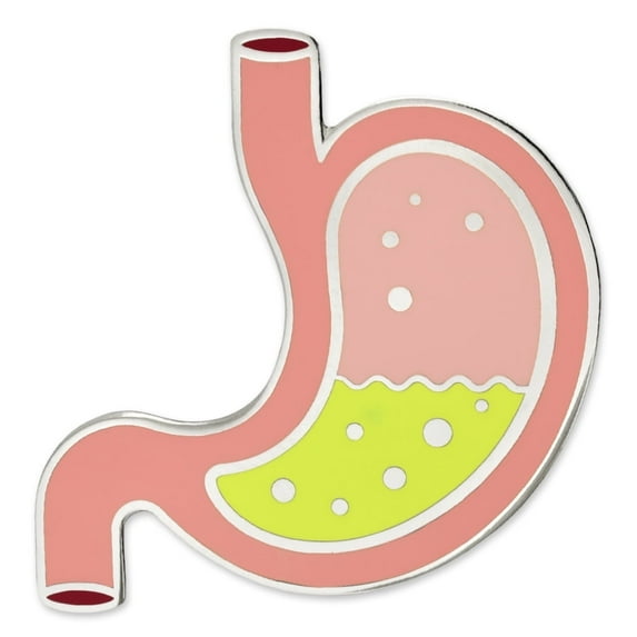 PinMart's Human Organ Stomach Medical Enamel Lapel Pin - 25 Pack