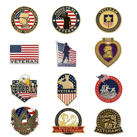 PinMart's Patriotic Military American Veteran Enamel Lapel Pin 12pc Set