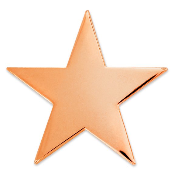PinMart's Star Pin Magnetic Back