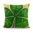 thumbnail image 1 of Pinch Proof Throw Pillow Covers,Cat ST Patricks Day Decoration for Sofa Couch, 1 of 5