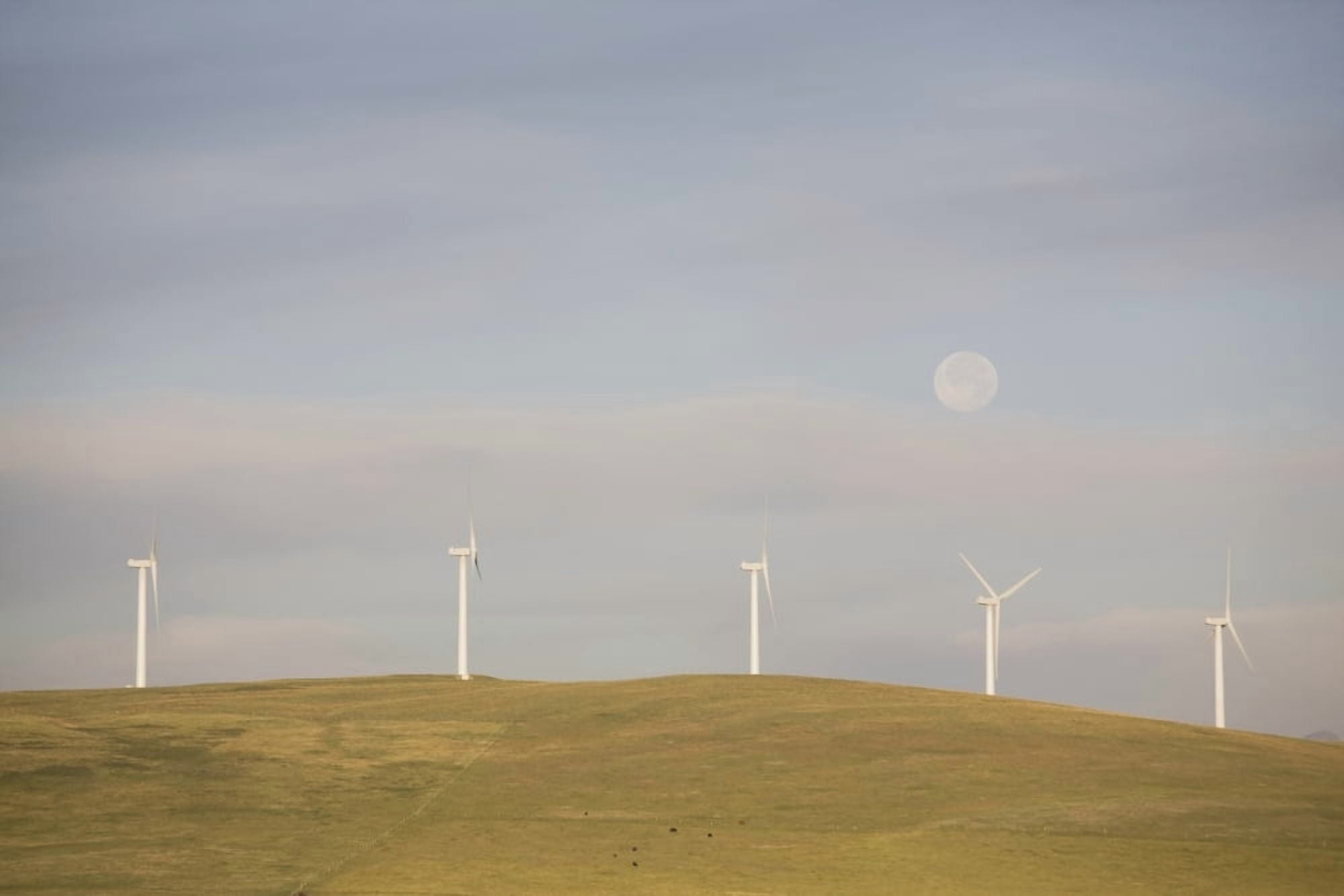Pincher Creek Alberta Canada Wind Turbines On A Hillside With The Moon In The Sky Canvas Art - Michael Interisano Design Pics (19 x 12)