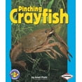 thumbnail image 1 of Pre-Owned Pinching Crayfish Pull Ahead Books: Animals Library Binding Janet Piehl, 1 of 1
