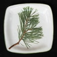 thumbnail image 1 of Pine 7" Square Dessert Plate, 1 of 1