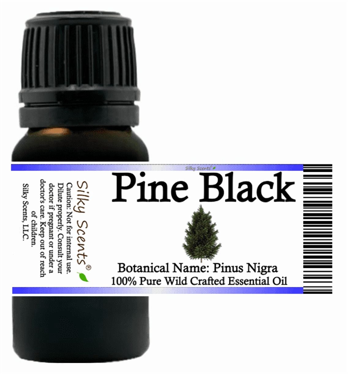 Pine Black Wild Crafted Essential Oil 1 fl oz (30 ml) - 100% Pure and Natural by Silky Scents