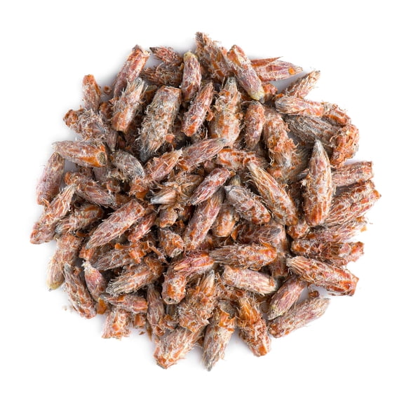 Pine Bud Tea Whole Dried Buds for a Fresh Woodland Infusion - 50g