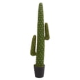 thumbnail image 1 of Pine Canopy Windflower Cactus Artificial Plant, 1 of 3