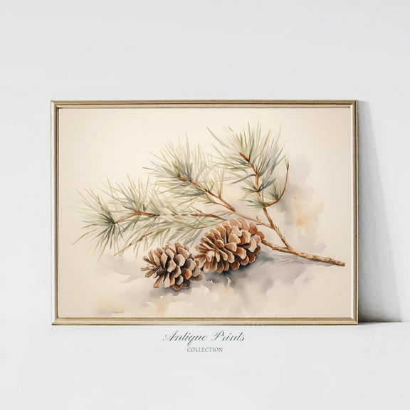 Pine Cone Branch Sketch, Botanical, Winter Farmhouse Wall Decor, Pine Cone Print, #48 Warm Present Vintage UNFRAMED Poster Size 24x36