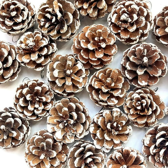 Pine Cone Christmas Tree Decorations,Happon 18Pcs Snow Pine Cones Christmas Hanging Pine Cones with String Pine Cone for Craft Winter Holiday Hanging Ornament Home Decorations (4-5cm)
