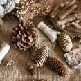 thumbnail image 1 of Pine Cone Decoration, 1 of 7