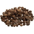 thumbnail image 1 of Pine Cones 150 Small Pinecones  3/4"-1 1/4" Mini Black Spruce Pine Cones  10 oz, 1 of 4