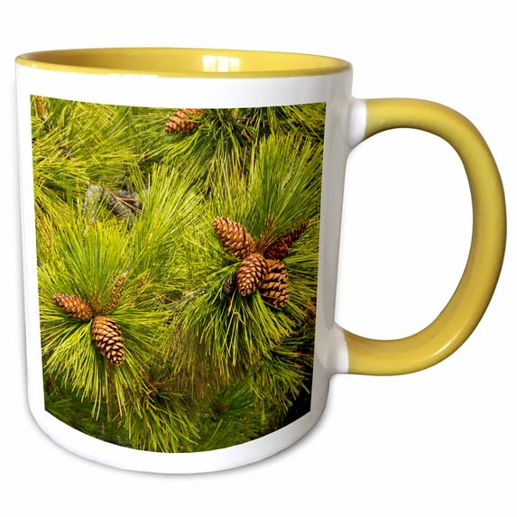 3drose, Pine Cones, Close Up, Deschutes National Forest, Oregon, Usa, 11oz Two-tone Yellow Mug