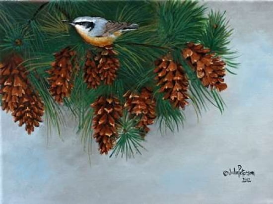 Pine Cones Nuthatcher Canvas Art - Julie Peterson (18 x 24)