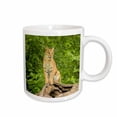 thumbnail image 1 of 3drose, Pine County. Captive Bobcat., 15oz Mug, 1 of 6