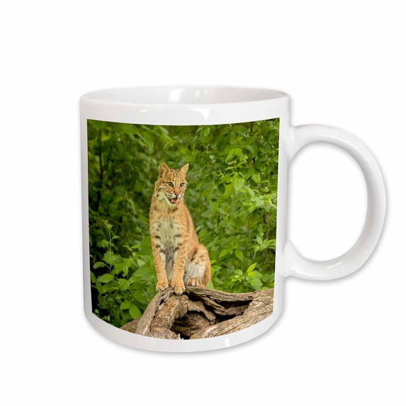 3drose, Pine County. Captive Bobcat., 15oz Mug