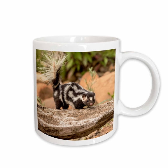 3drose, Pine County. Captive Spotted Skunk., 11oz Mug