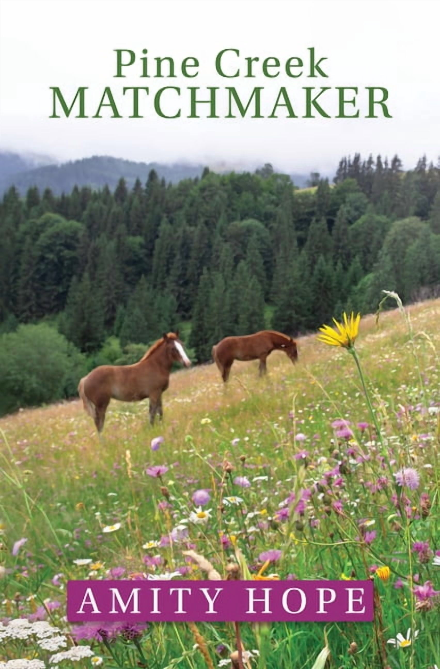 Pine Creek Amish Pine Creek Matchmaker, Book 3, (Hardcover)