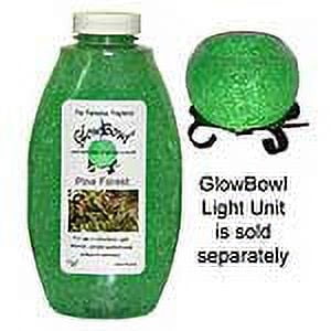 Pine Forest Scented Gel 16 oz.