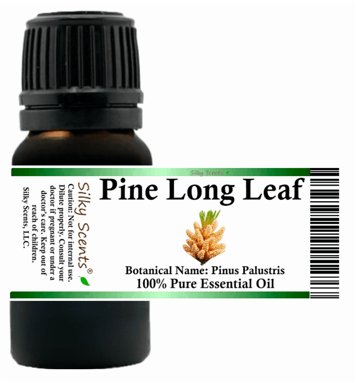 Pine Long Leaf Essential Oil 15 ml (1/2 fl oz) - 100% Pure and Natural by Silky Scents