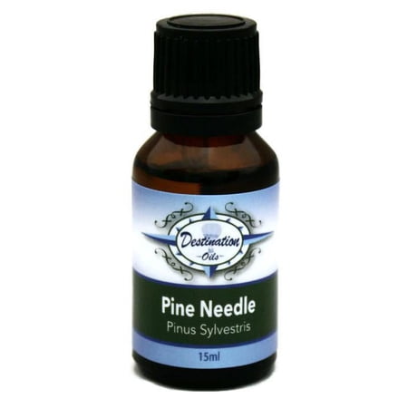Pine Needle Essential Oil ~ 15ml ~ Pure