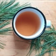 Pine Needle Tea Spike Protein Defense Farm Organic White Pine