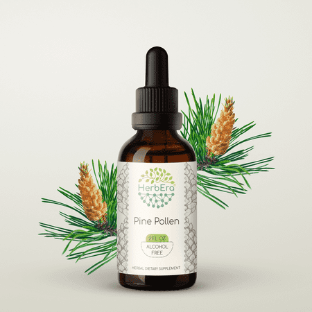 HerbEra Pine Pollen Tincture, Herbal Dietary Supplement for Hormonal Balance Support, Pine Pollen (Scots Pine, Pinus sylvestris) Dried Pollen Extract, Natural, Alcohol-Free, Drops 2 oz
