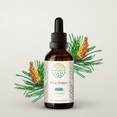 thumbnail image 1 of Pine Pollen Alcohol Herbal Extract Tincture, Super-Concentrated (Song Hua Fen, Scots Pine, Pinus Sylvestris) Dried Pollen 2 oz, 1 of 7