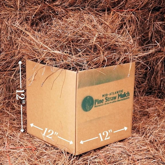 Pine Straw Mulch | Sustainable, Long-Lasting, Easy-to-Spread | OMRI Listed Organic | Weed & Mold Spore Free | Pine Needle Mulch for Landscaping & Gardens | SM Box (12"x12"x12") - 25 Sq. Ft.