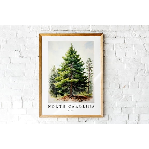 Pine The State Tree Of North Carolina Poster Print Wall Décor