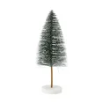 thumbnail image 1 of Pine Tree Medium, 1 of 1