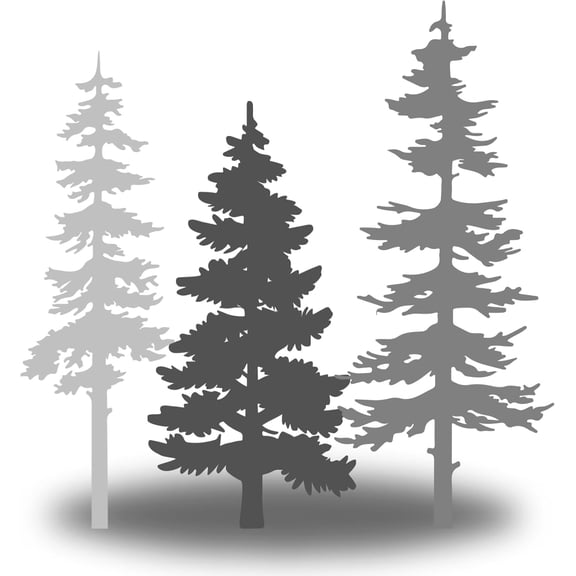 Pine Tree Wall Decals Set - Large Woodland Vinyl Stickers, Forest Wall Decor Mural for Kids Nursery & Living Room