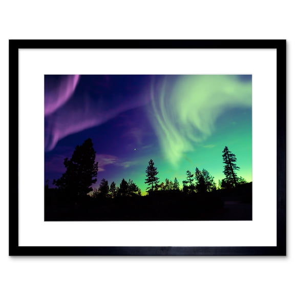 Pine Trees Silhouette Northern Lights Art Print Framed Poster Wall Decor 9x7 inch