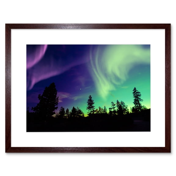 Pine Trees Silhouette Northern Lights Art Print Framed Poster Wall Decor 9x7 inch