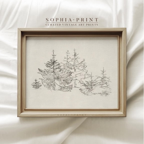 Pine Trees Sketch Art Trees Drawing Art Christmas Sketch Art Nature Drawing Art #800