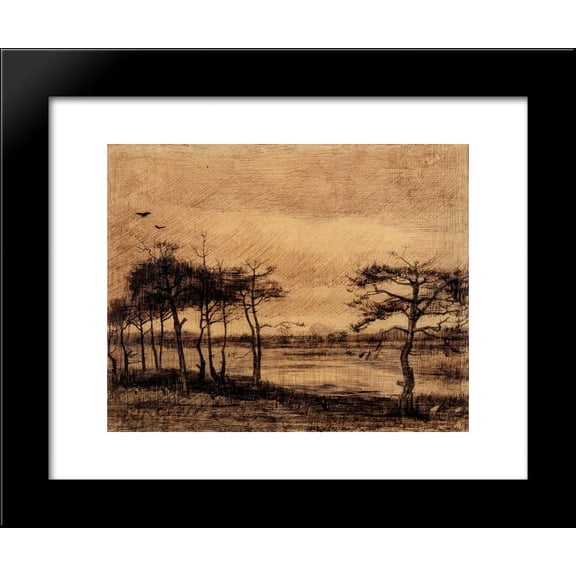 Pine Trees in the Fen 20x24 Framed Art Print by Vincent van Gogh