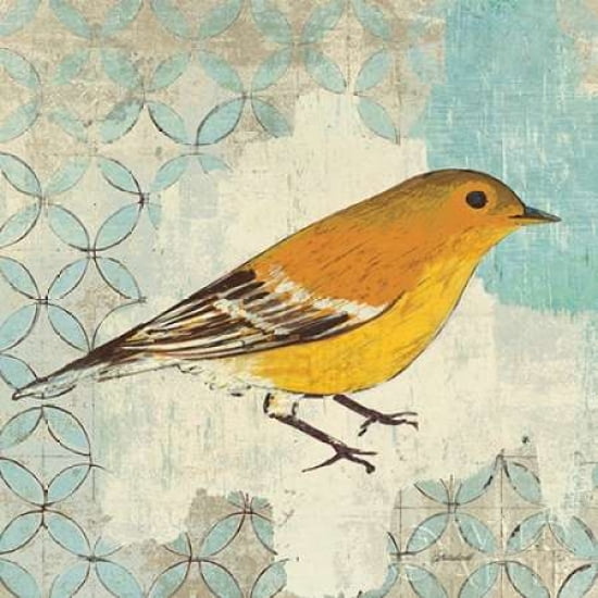 Pine Warbler Canvas Art - Kathrine Lovell (24 x 24)
