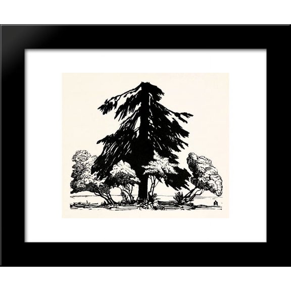 Pine tree 20x24 Framed Art Print by Ostroumova-Lebedeva, Anna