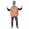 thumbnail image 1 of Pineapple Adult Halloween Costume, 1 of 3
