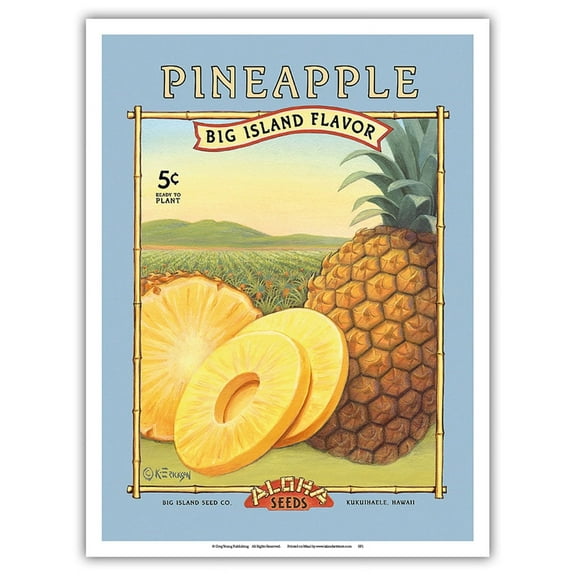 Pineapple - Aloha Seeds - Big Island Seed Company - Big Island Flavor - Vintage Seed Packet by Kerne Erickson - Master Art Print (Unframed) 9in x 12in