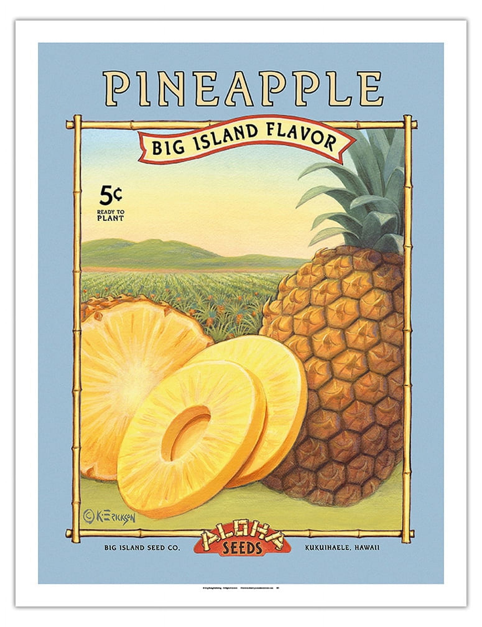 Pineapple - Aloha Seeds - Big Island Seed Company - Big Island