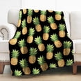 thumbnail image 1 of Pineapple Blanket Gifts for Women Girls Mom, Tropical Fruits Decoration for Home Bedroom Living Room Chair Office, Soft Comfort Fuzzy Lightweight Throw Blankets Black 50"x60", 1 of 5