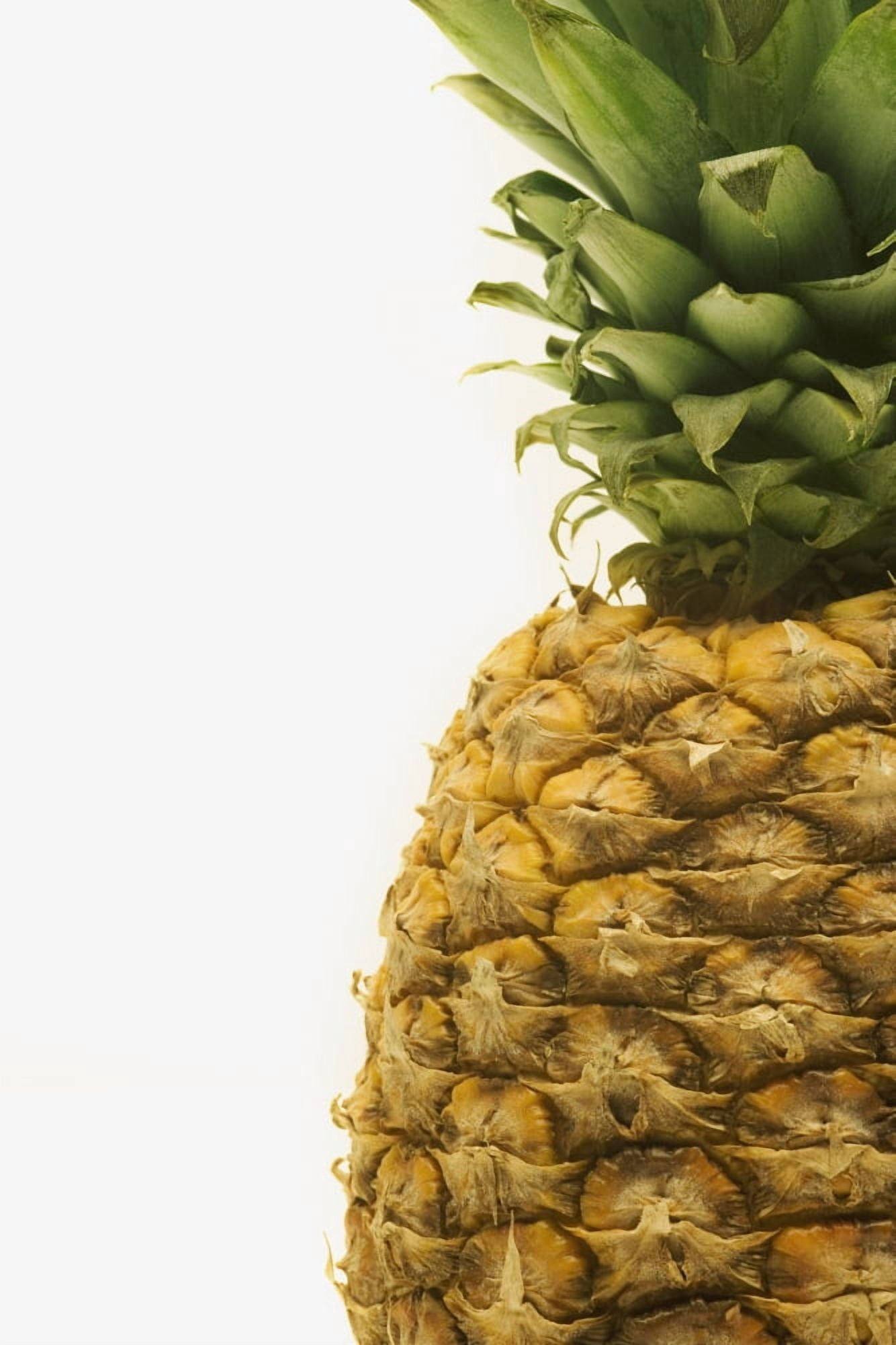 Pineapple Canvas Art - Darren Greenwood Design Pics (12 x 18)