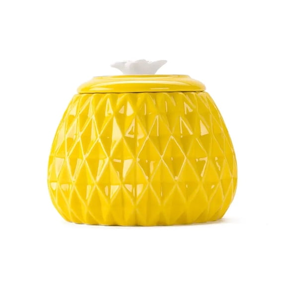 Pineapple Ceramic Tea Can 500ML Airtight Storage Jar for Kitchen