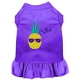 thumbnail image 1 of Pineapple Chillin Embroidered Dog Dress, 1 of 2