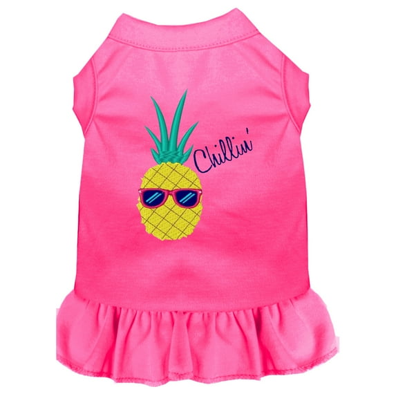 Pineapple Chillin Embroidered Dog Dress