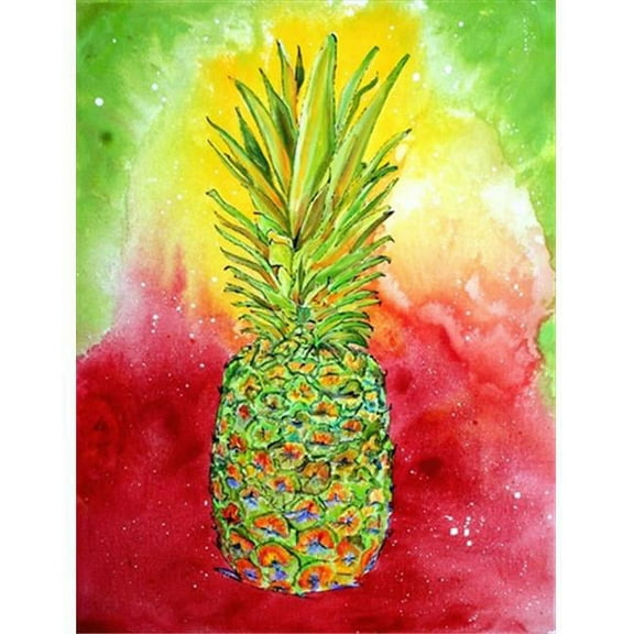 Pineapple Flag Garden Size