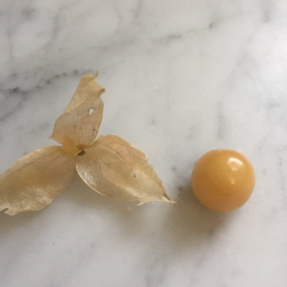 Pineapple Ground Cherry Live Plant in 2.5" Growers Pot (1 Count)